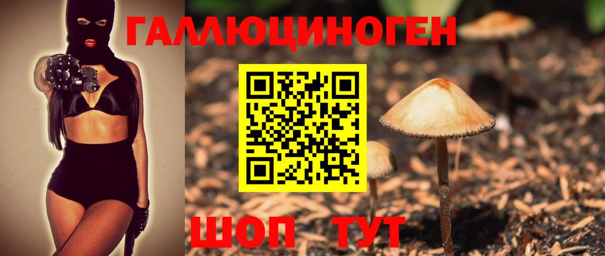 Елизово  Галлюциногенные грибы прущие грибы  Вход с VPN 